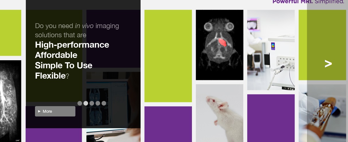小动物MRI